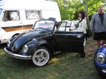 Zdjęcie 237