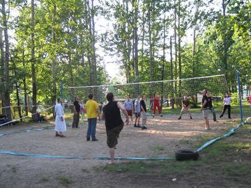 Zdjęcie 238