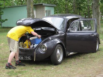 Zdjęcie 277