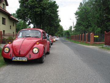 Zdjęcie 278