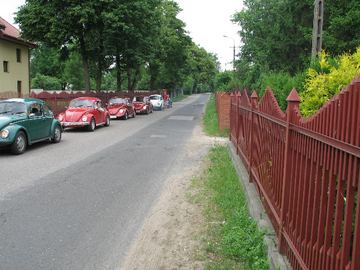 Zdjęcie 279