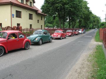 Zdjęcie 280