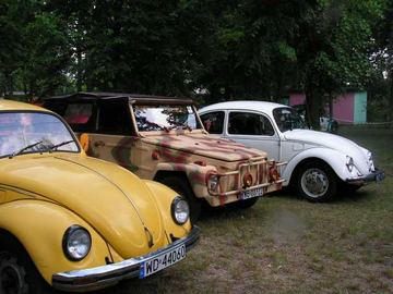 Zdjęcie 494