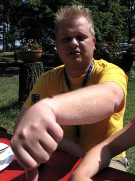 Zdjęcie 82