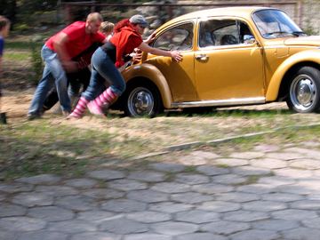 Zdjęcie 157