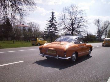 Zdjęcie 184