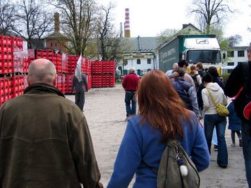 Zdjęcie 49