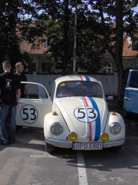 Zdjęcie 24