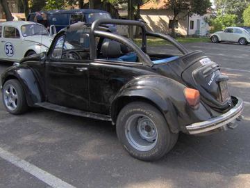 Zdjęcie 35