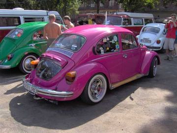 Zdjęcie 38