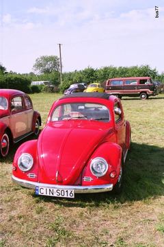 Zdjęcie 89