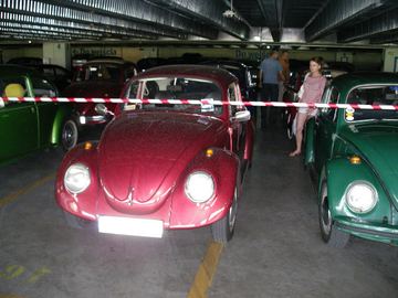 Zdjęcie 14
