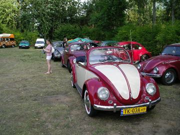 Zdjęcie 26