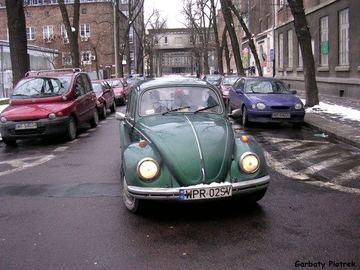 Zdjęcie 7