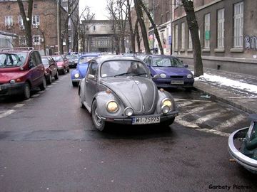 Zdjęcie 8