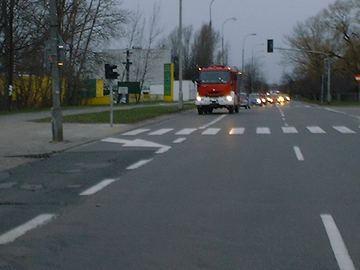 Zdjęcie 55