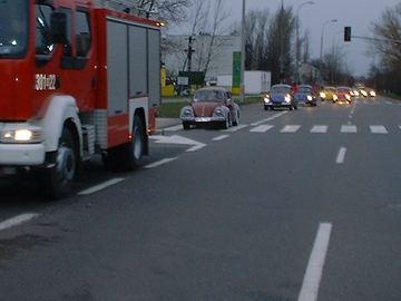 Zdjęcie 56