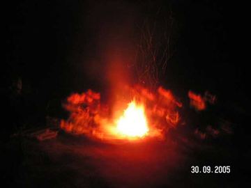 Zdjęcie 102