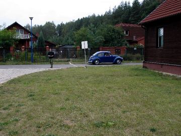 Zdjęcie 31