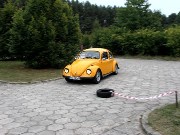 Zdjęcie 69