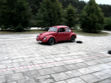 Zdjęcie 72
