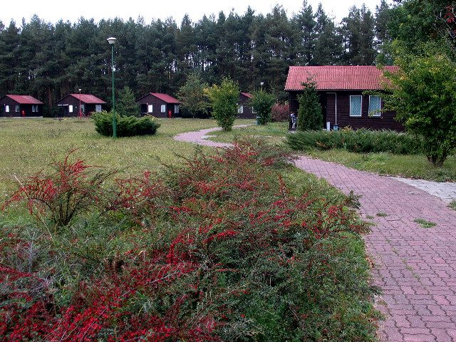 Pielgrzymka do Grzymka – zdjęcie 8