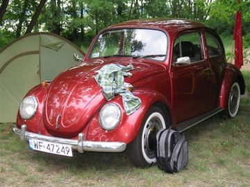 Zdjęcie 177