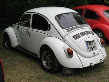 Zdjęcie 179
