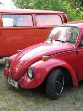 Zdjęcie 180