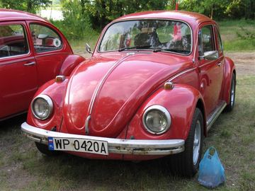 Zdjęcie 181
