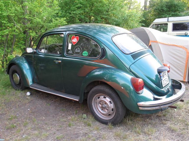 Dziki Zlot - Łacha – zdjęcie 182