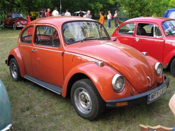 Zdjęcie 184