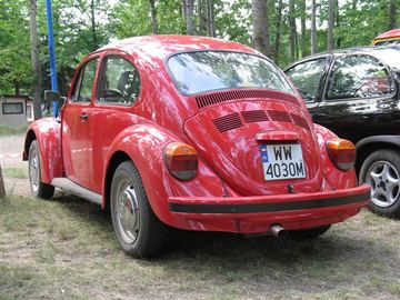 Zdjęcie 219