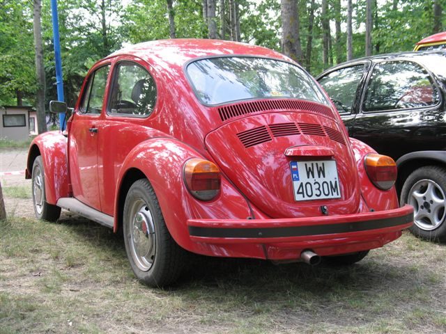 Dziki Zlot - Łacha – zdjęcie 219