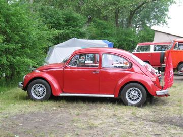 Zdjęcie 260