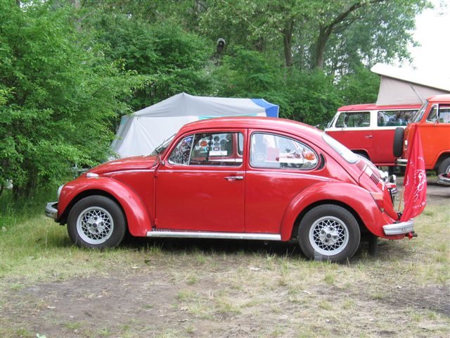 Dziki Zlot - Łacha – zdjęcie 260