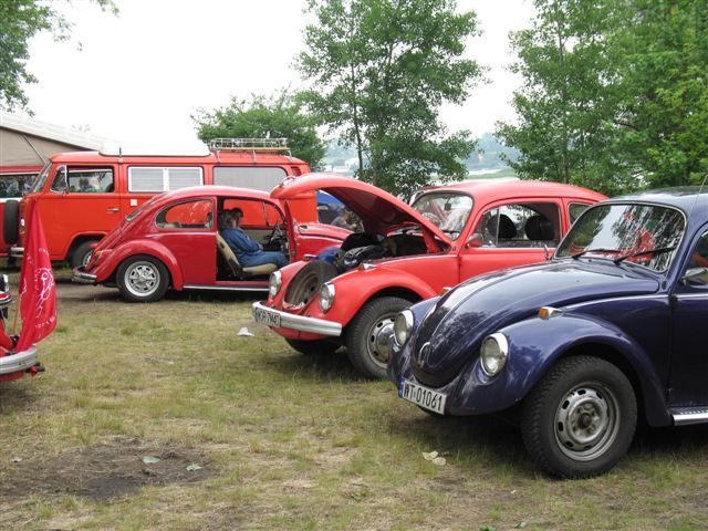Dziki Zlot - Łacha – zdjęcie 261