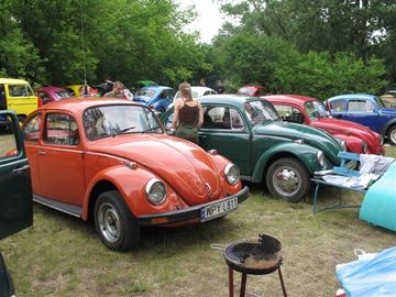 Zdjęcie 262