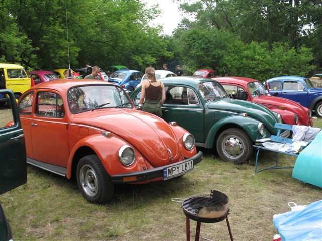 Dziki Zlot - Łacha – zdjęcie 262