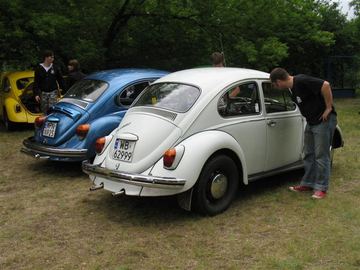 Zdjęcie 267
