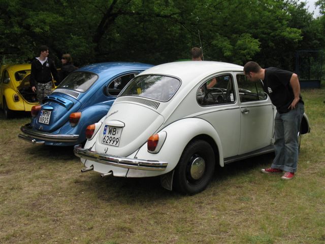 Dziki Zlot - Łacha – zdjęcie 267