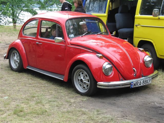 Dziki Zlot - Łacha – zdjęcie 269