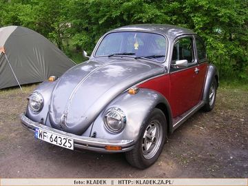 Zdjęcie 281