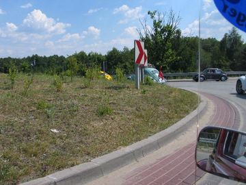 Zdjęcie 34