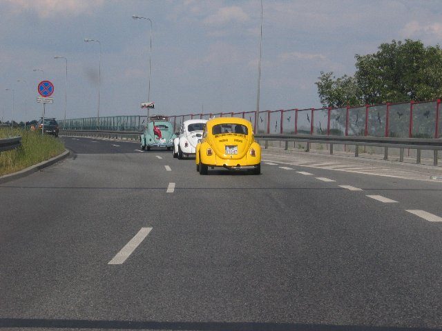 Dziki Zlot - Łacha – zdjęcie 37