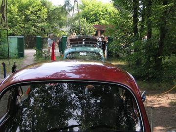 Zdjęcie 41