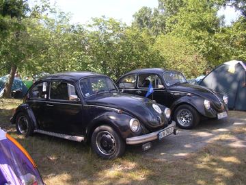 Zdjęcie 46