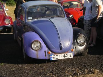 Zdjęcie 58