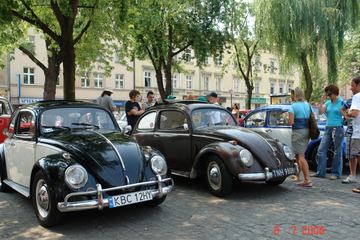Zdjęcie 119