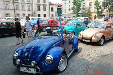 Zdjęcie 134